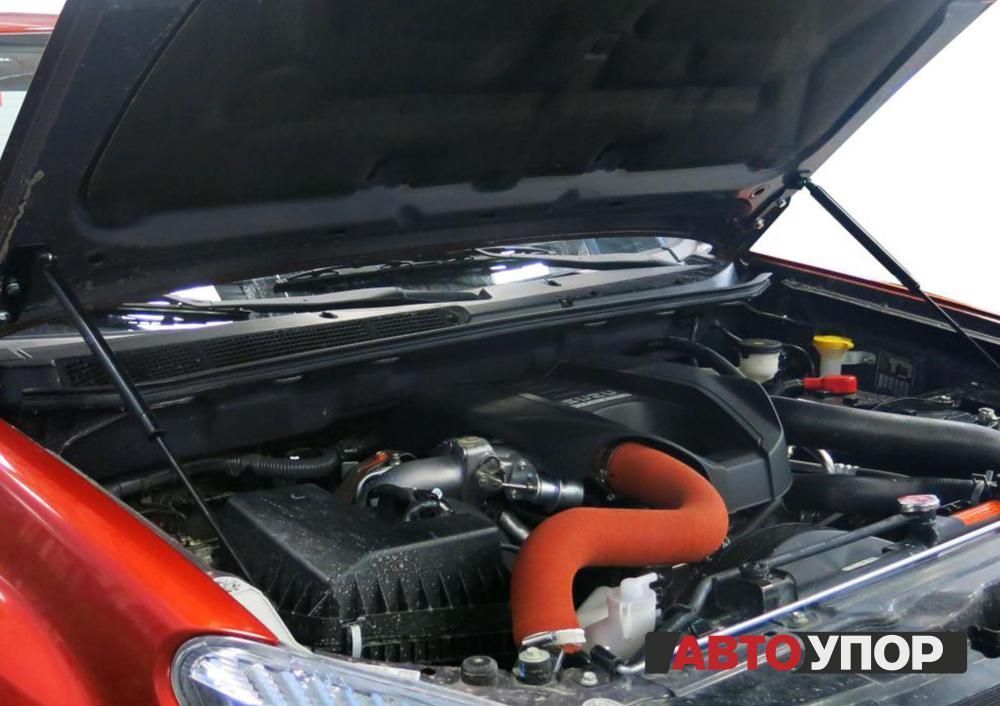 Isuzu D Max / Амортизаторы капота / Амортизаторы капота