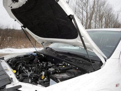 Амортизаторы капота VW. - Volkswagen Amarok - Амортизаторы капота VW - 