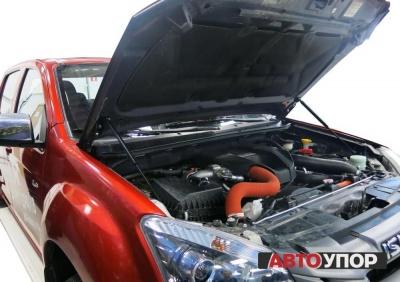 Амортизаторы капота - Isuzu D Max - Амортизаторы капота - 